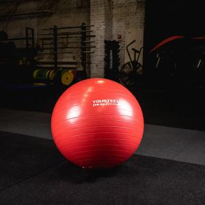 Купить Гимнастический мяч Yousteel Hard 55см в Москве 