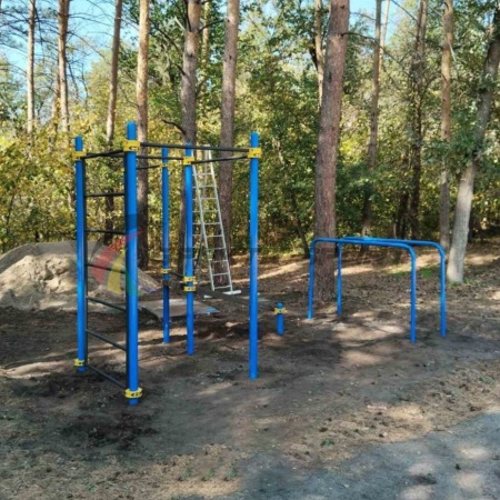 Купить Площадка Workout SP Домашняя 5_76mm в Москве 