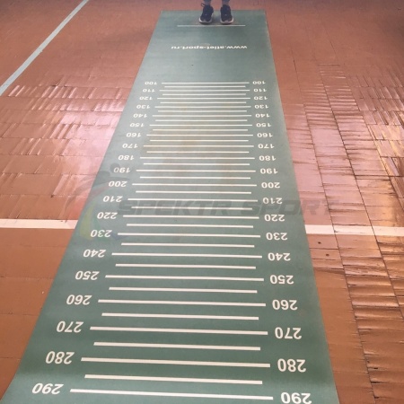 Купить Дорожка для прыжков в длину с места с разметкой, для сдачи норматива (облегченная) в Москве 