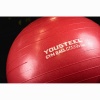 Купить Гимнастический мяч Yousteel Hard 55см в Москве 